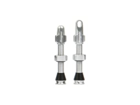 HOPE Tubeless Valve Set | silver
