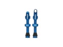 HOPE Tubeless Valve Set | blue