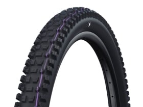 SCHWALBE Tire Albert Gravity Pro 29 x 2.60 | Radial ADDIX...
