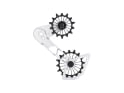 FRAEZEN derailleur cage system KAEFIG | SRAM Eagle Transmission | silver / black