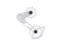 FRAEZEN derailleur cage system KAEFIG | SRAM Eagle Transmission | silver / silver