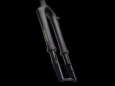 CANE CREEK Suspension Fork Gravel Invert SL 700c 30 mm | 12x100 mm