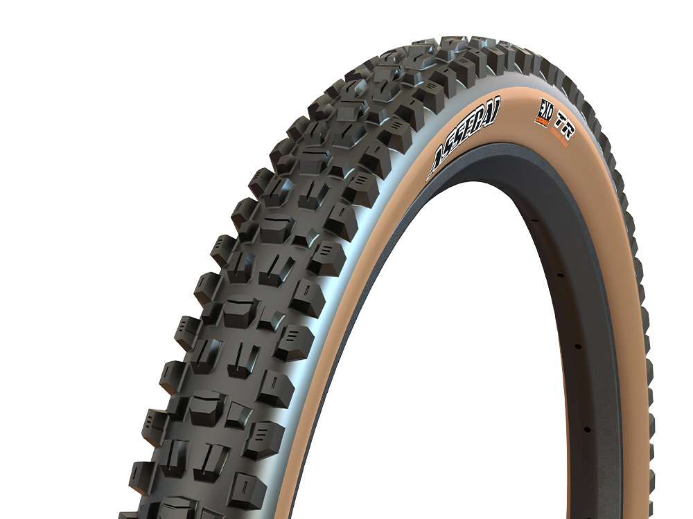 MAXXIS Reifen Assegai 29 x 2 60 WT DualCompound TR EXO Tanwall 49 50