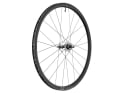 DT SWISS Hinterrad 28" T 1800 Classic 30 mm | 10x120 mm Bolt On | Fixed Gear