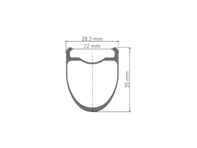 DT SWISS Rear Wheel 28