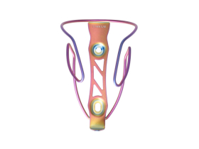 SUPACAZ Bottle Cage TiFly Titanium | electric purple