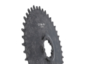 Gemini Kettenblatt Rigel Carbon Gravel rund Direct Mount | 1-fach narrow-wide SRAM 3-Loch 42 Zähne