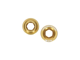 LEONARDI RACING Crank Bolts for Cannondale Hollowgram | gold