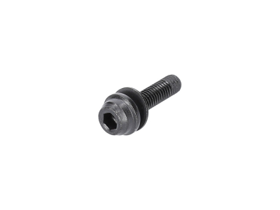 SHIMANO Mounting Screw for Flat Mount Brake BR-R8170 Caliper/Adapter | Type C2 10 mm | 19 mm