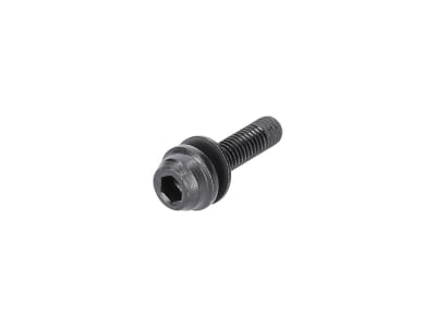 SHIMANO Mounting Screw for Flat Mount Brake BR-R8170 Caliper/Adapter | Type C2 25 mm | 34 mm