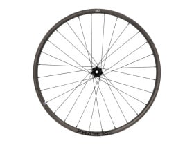 R2BIKE Laufradsatz 29" XC | DT Swiss 350 | Newmen...