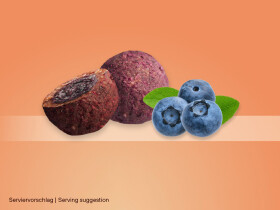 SPONSER Energy Balls Blueberry 45g |18 Bag Box