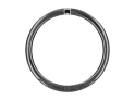 DUKE Rim 28" Baccara 48 Ultra SLR2 Disc UD-Carbon symmetric 28 Holes