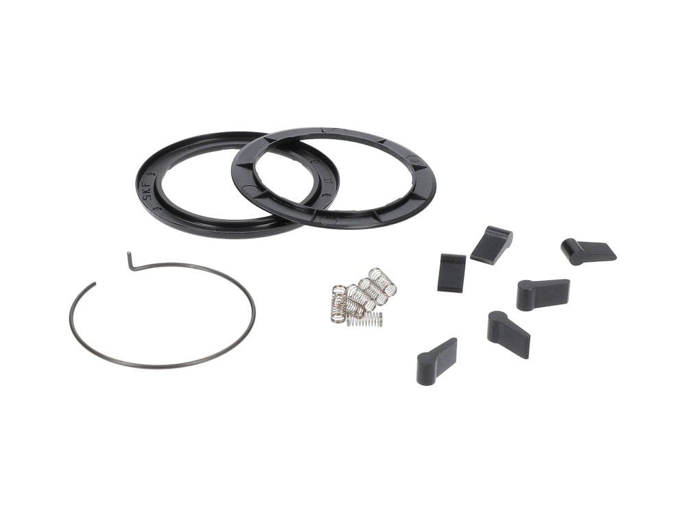 ZIPP Spare Part Pawls and Springs for ZM2 SL / ZR1 Hubs