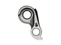 SILCA derailleur hanger Cervélo 202 | Titanium Sram derailleur hanger | gray