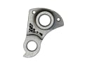 SILCA derailleur hanger Giant 204 | Titanium Sram derailleur hanger | gray