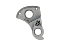 SILCA derailleur hanger Giant 204 | Titanium Sram derailleur hanger | gray