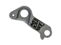 SILCA derailleur hanger Pinarello 109 Direct Mount | Shimano derailleur hanger | titanium | gray