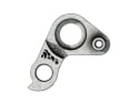SILCA derailleur hanger Pinarello 209 | Sram derailleur hanger | titanium | gray