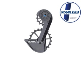 KOGEL BEARINGS Oversized Schaltwerkskäfig System...