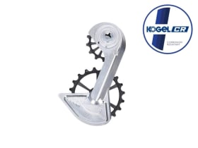KOGEL BEARINGS Oversized Schaltwerkskäfig System...