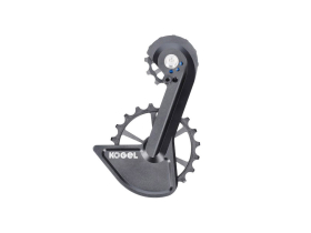 KOGEL BEARINGS Oversized Schaltwerkskäfig System...