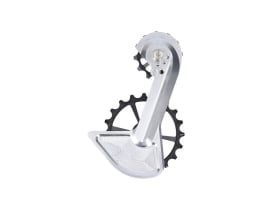 KOGEL BEARINGS Oversized Schaltwerkskäfig System...