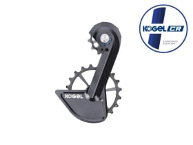 KOGEL BEARINGS Oversized Schaltwerkskäfig System...