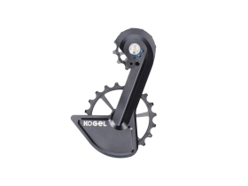 KOGEL BEARINGS Oversized Schaltwerkskäfig System...