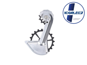 KOGEL BEARINGS Oversized Schaltwerkskäfig System...