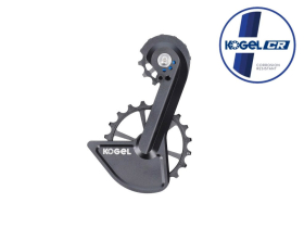 KOGEL BEARINGS Oversized Schaltwerkskäfig System...