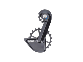 KOGEL BEARINGS Oversized Schaltwerkskäfig System...