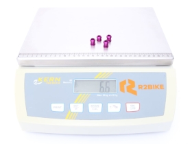 WOLF TOOTH chainring bolts 6 mm 4-hole | ultraviolet purple