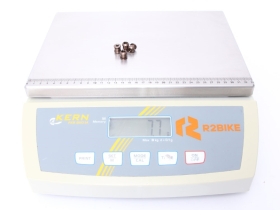 WOLF TOOTH chainring bolts 6 mm 4-hole | espresso