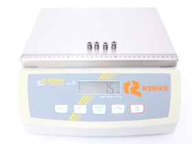 WOLF TOOTH Kettenblattschrauben 6 mm 4-Loch | grau