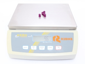 WOLF TOOTH Kettenblattschrauben 6 mm 5 Stück |...