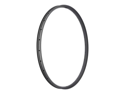 R2BIKE Felge 29" MTB XC 30 UD Carbon matt