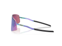 OAKLEY Sunglasses Sutro Ti Sweep Polished Oil Slick | Prizm Road Jade OO6025-0538
