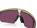 OAKLEY Sonnenbrille Sphaera TROY LEE DESIGNS SERIES Matte Olive Ink | Prizm Road Black OO9403-2236