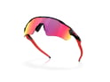 OAKLEY Sunglasses Radar EV Path 100 Thieves Collection Matte Black | Prizm Road OO9208-G238