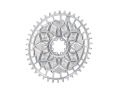 RAKETA COMPONENTS Chainring oval 1-speed Narrow Wide SRAM 8-bolt Direct Mount | silver | 50 teeth