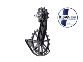 KOGEL BEARINGS Oversized Schaltwerkskäfig System...