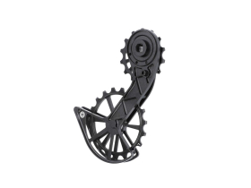 KOGEL BEARINGS Oversized Schaltwerkskäfig System...