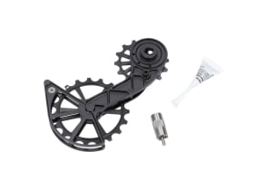 KOGEL BEARINGS Oversized Schaltwerkskäfig System...