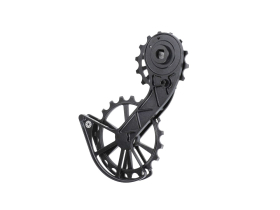 KOGEL BEARINGS Oversized Schaltwerkskäfig System...