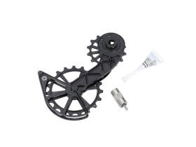 KOGEL BEARINGS Oversized Schaltwerkskäfig System...