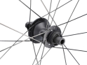 ZIPP Rear Wheel 28" 353 NSW Carbon | Tubeless | Center Lock | 12x142 mm Thru Axle including AXS Wheel Sensor | SRAM XDR