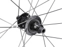 ZIPP Rear Wheel 28" 353 NSW Carbon | Tubeless | Center Lock | 12x142 mm Thru Axle including AXS Wheel Sensor | SRAM XDR