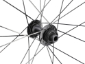 ZIPP Vorderrad 28" 454 NSW Carbon | Tubeless | Center Lock | 12x100 mm Steckachse