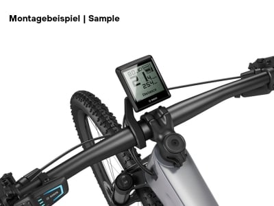 mountainbike raleigh 29